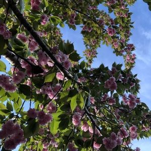 Meet your Posher, Ellie